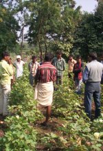 Agriculture